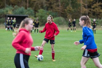 Bild 45 - B-Juniorinnen SG Mittelholstein - SV Frisia 03 Risum-Lindholm : Ergebnis: 1:12